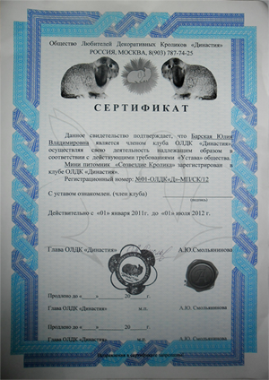 http://moi-kroliki.ucoz.ru/KAPTNHKN/sertifikat_300.png